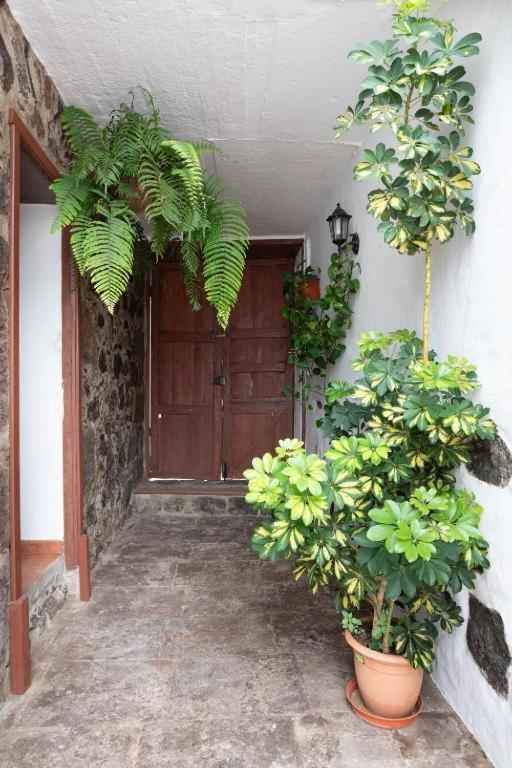 Casa Canaria Acero Garachico  Eksteriør bilde