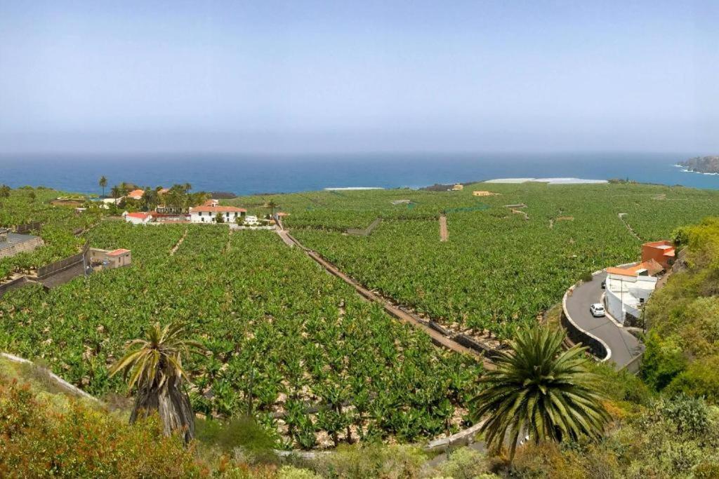 Casa Canaria Acero Garachico  Eksteriør bilde
